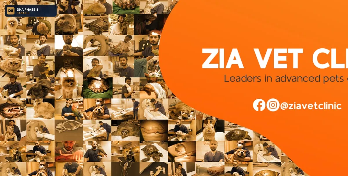 zia-vet-clinic-karachi-dha-phase-8-karachi