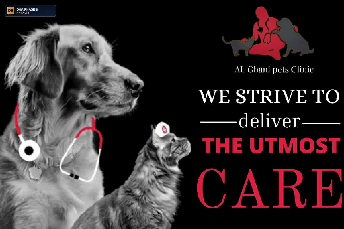 al-ghani-pets-clinic-dha-phase-8-karachi