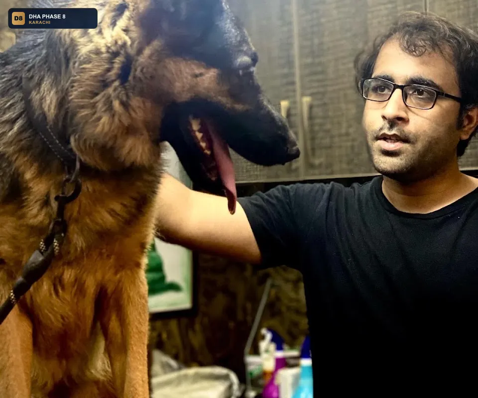 aliyan-pets-hospital-karachi-24-7-emergency-dha-phase-8-karachi thumb 2