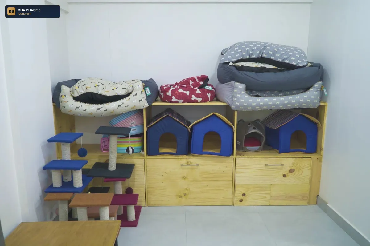 healthy-tails-animal-hospital-dha-phase-8-karachi thumb 3