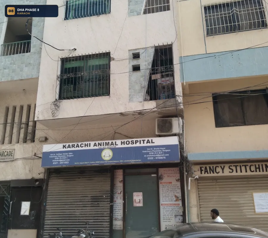 karachi-animal-hospital-dha-phase-8-karachi