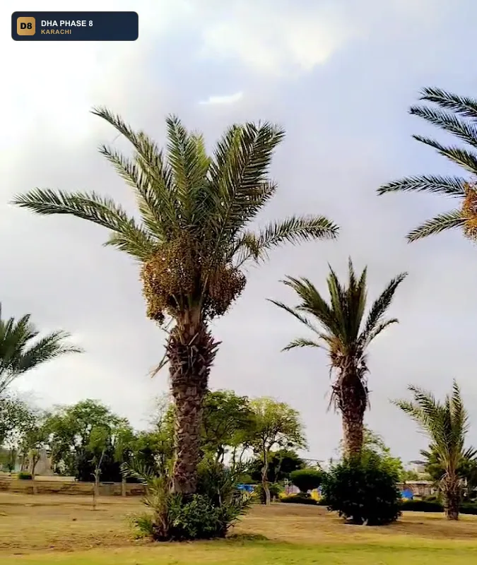 zamzama-park-dha-phase-8-karachi