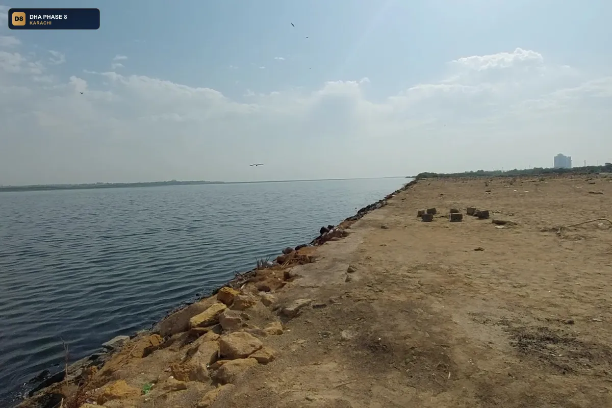 little-dragon-dha-phase-8-karachi thumb 3